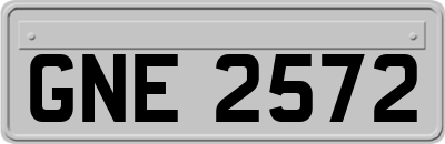 GNE2572