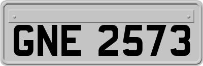 GNE2573