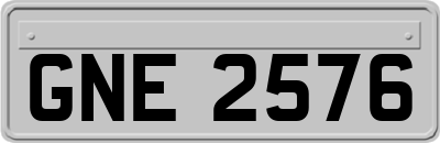 GNE2576