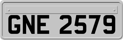 GNE2579