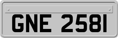 GNE2581