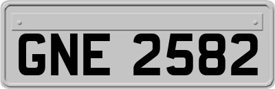 GNE2582