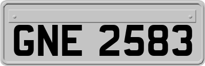 GNE2583