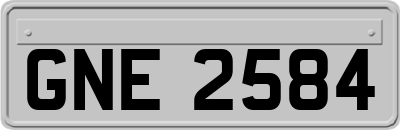 GNE2584