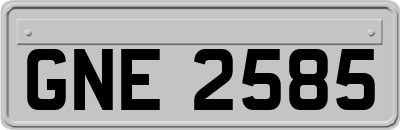 GNE2585
