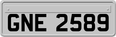 GNE2589