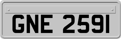 GNE2591