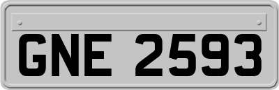 GNE2593