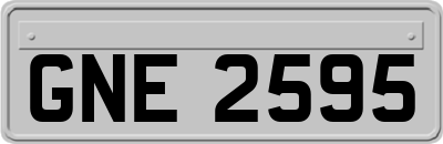 GNE2595