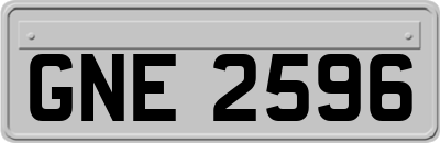 GNE2596