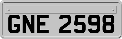 GNE2598