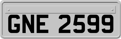 GNE2599