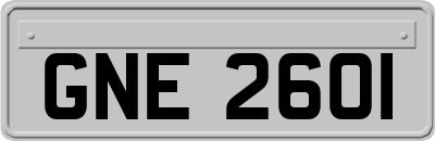 GNE2601