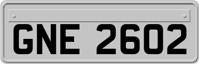 GNE2602