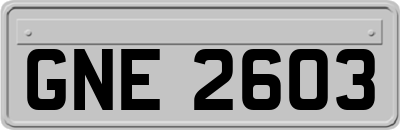 GNE2603