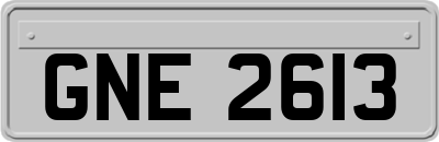 GNE2613