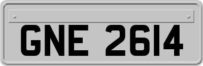 GNE2614