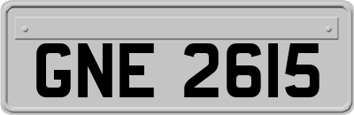 GNE2615