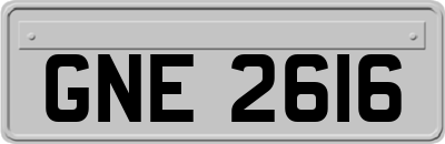GNE2616