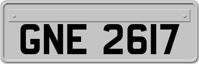GNE2617