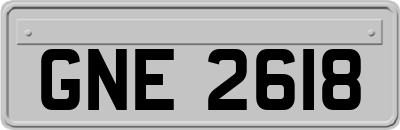 GNE2618