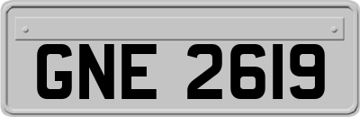 GNE2619