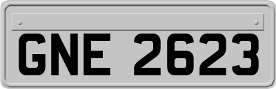 GNE2623