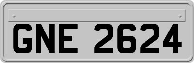 GNE2624