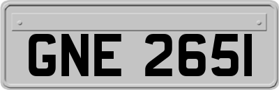 GNE2651