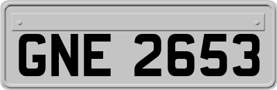 GNE2653