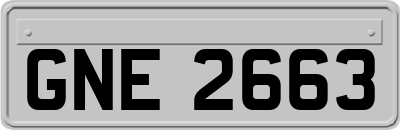GNE2663
