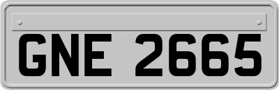 GNE2665