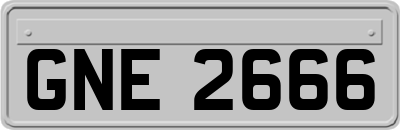 GNE2666