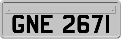 GNE2671