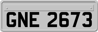GNE2673