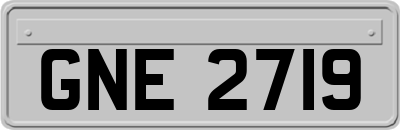 GNE2719