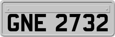 GNE2732