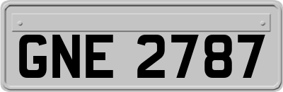 GNE2787