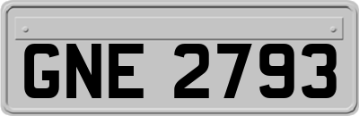 GNE2793