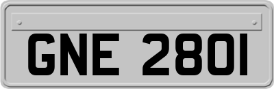 GNE2801