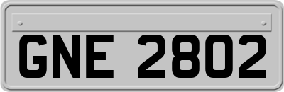 GNE2802