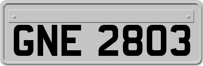 GNE2803
