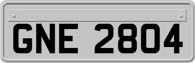 GNE2804