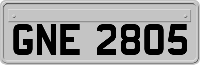 GNE2805