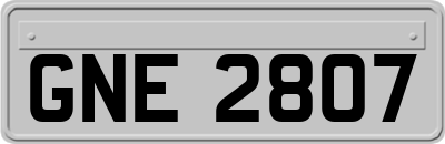 GNE2807