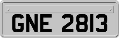 GNE2813