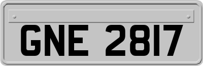 GNE2817