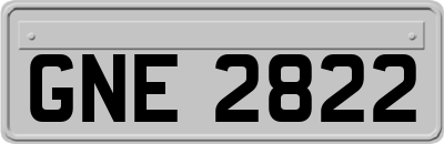 GNE2822