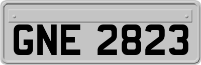 GNE2823