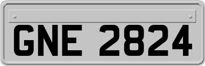 GNE2824